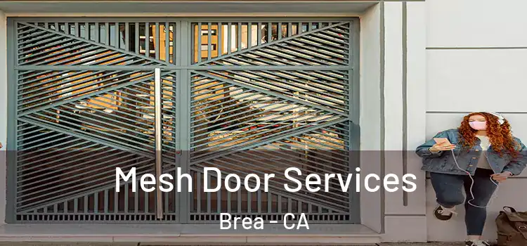 Mesh Door Services Brea - CA